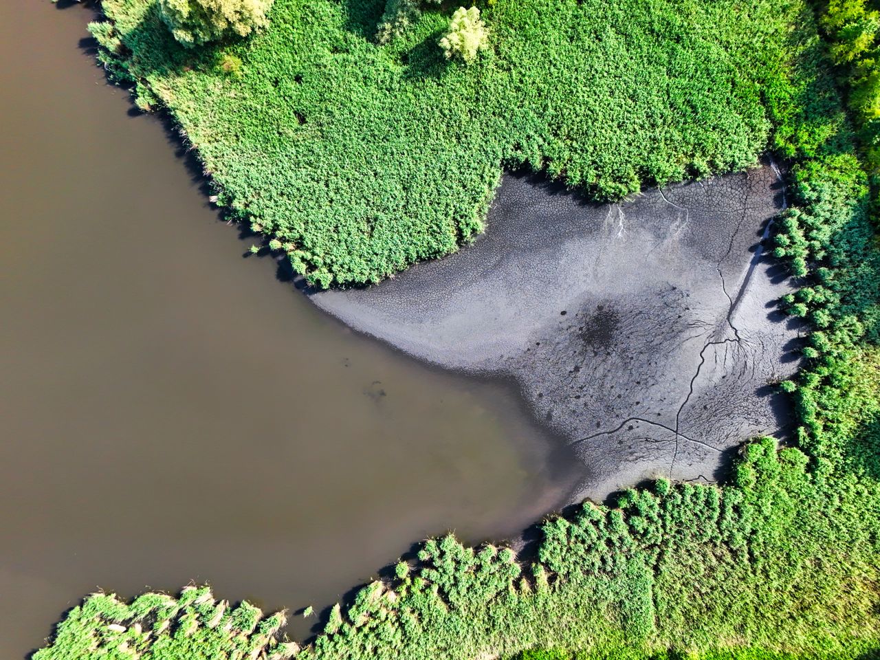 Aerial view of vibrant marshland contrasting with a dark muddy shoreline.