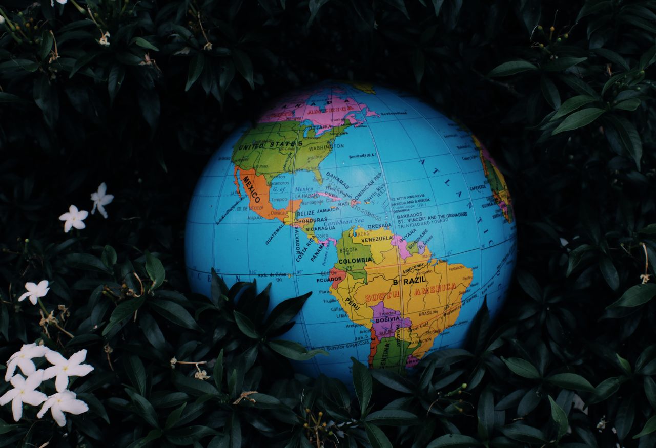 Earth globe toy placed in green bush with white flowers in nature in daytime