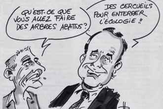 38 arbres abattus sur le parking de Carnon operation commandoblanc